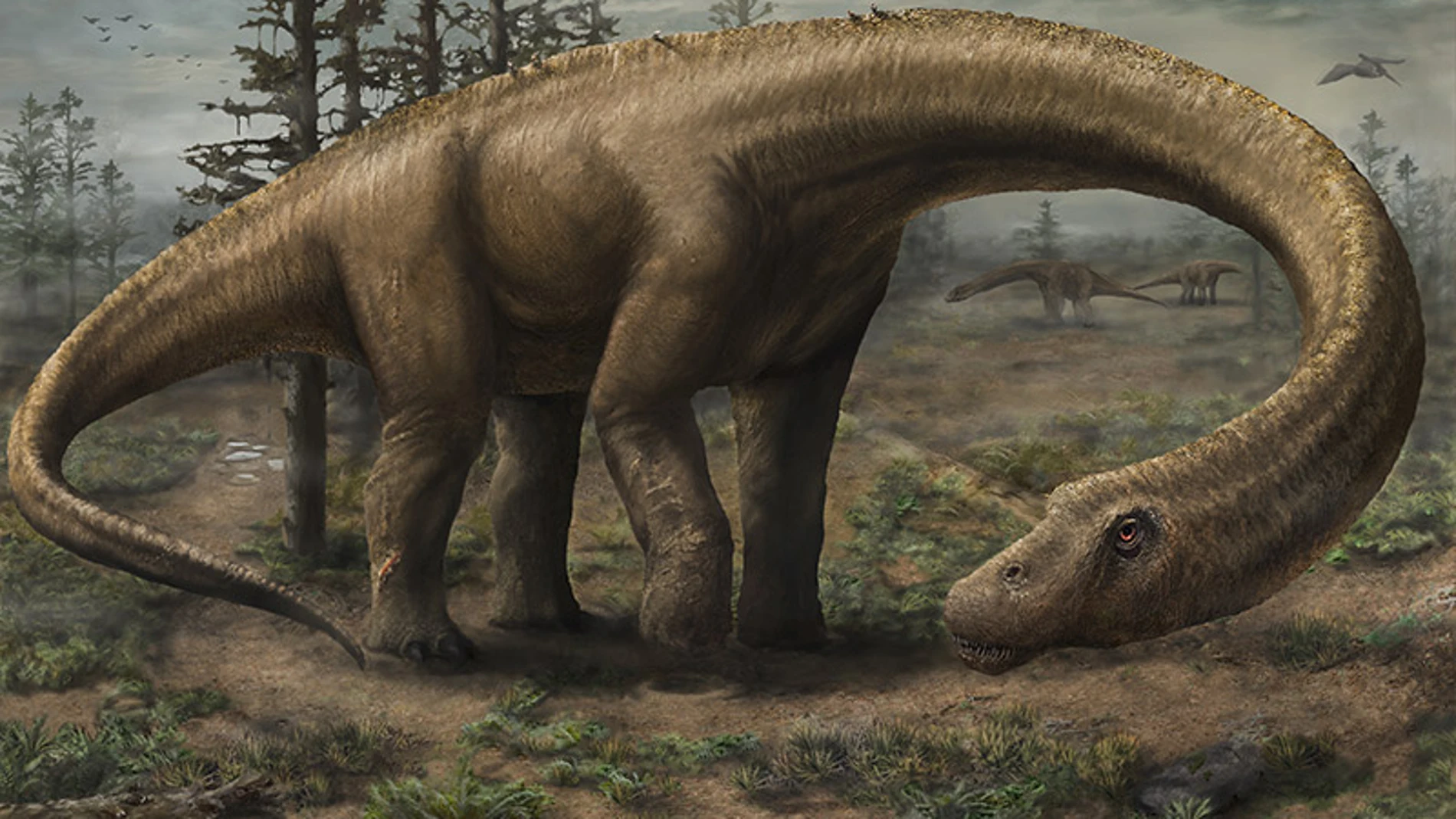 Ilustración de cómo podría ser el titanosaurio encontrado en Argentina