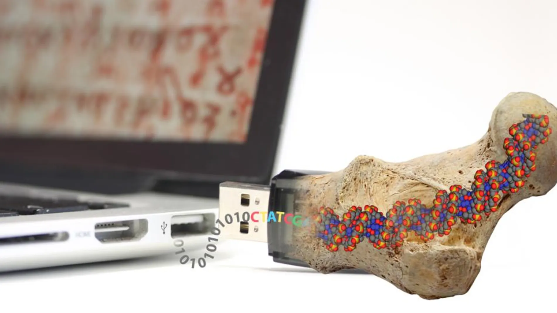 En la búsqueda de maneras de almacenar datos permanentemente, los investigadores del ETH se han inspirado en los fósiles.
