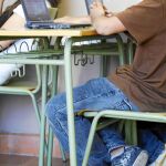 PSOE e IU desmontan la Escuela 2.0 a espaldas del consejero de Educación