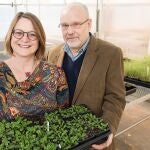 Jack Schultz y Heidi Appel sostienen plantas de ‘Arabidopsis’, utilizadas en sus experimentos
