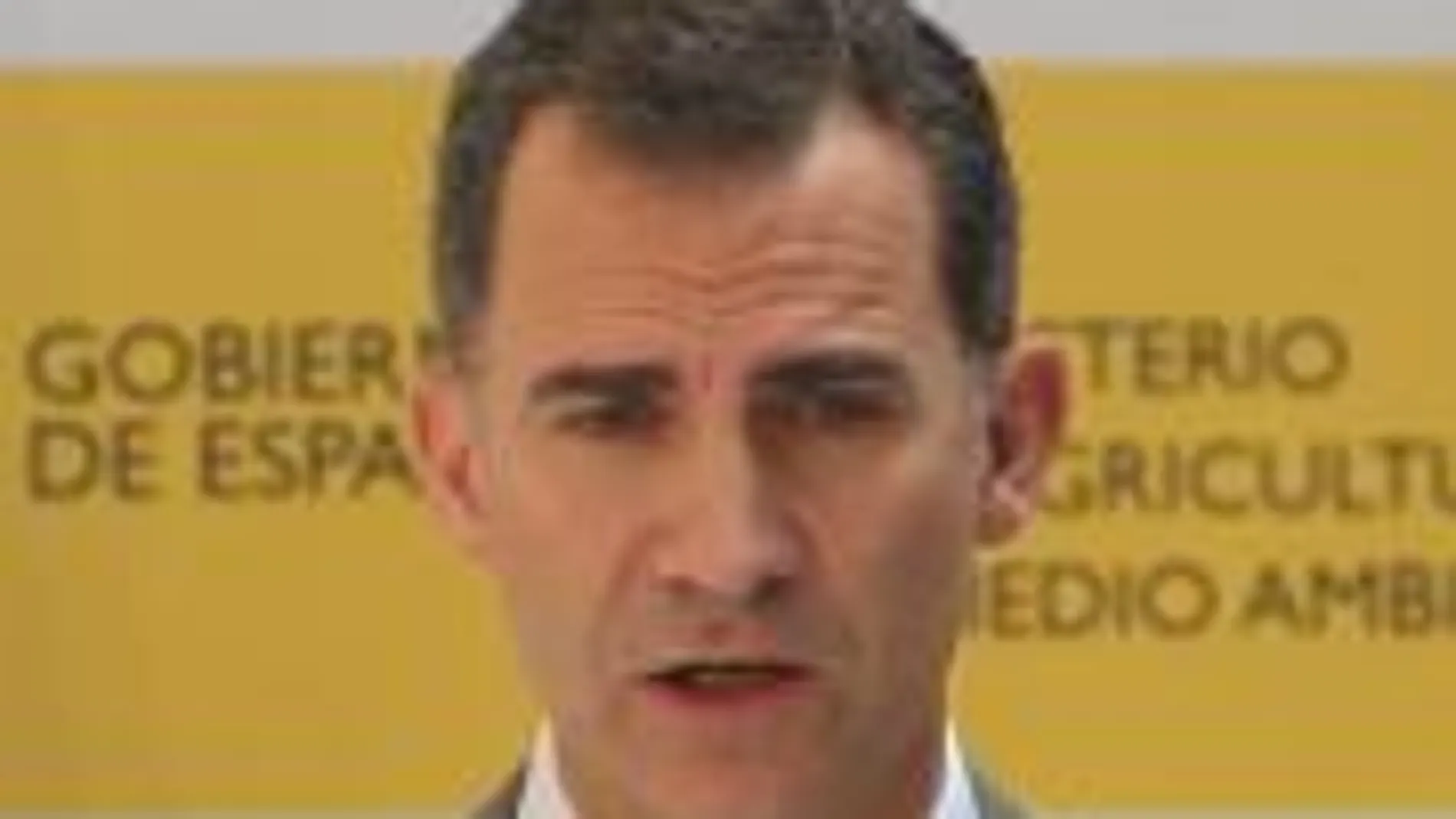Los Príncipes de Asturias y de Viana, don Felipe y doña Letizia