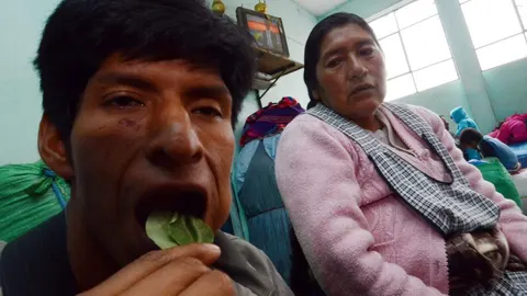 LA PAZ (BOLIVIA), 11/01/2013.- Fotografía de archivo del 10 de enero de 2013, muestra a un campesino boliviano masticando hojas de coca en un mercado popular de La Paz (Bolivia). Bolivia volverá a la Convención Antidrogas de la ONU de 1961 con una excepción que permita el mascado de hojas de coca, ya que sólo 15 países objetaron a su petición, según indicó hoy, viernes 11 de enero de 2013, una portavoz de Naciones Unidas. EFE/JAVIER MAMANI