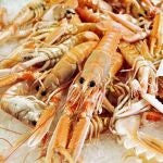10 consejos para preparar marisco en Navidad