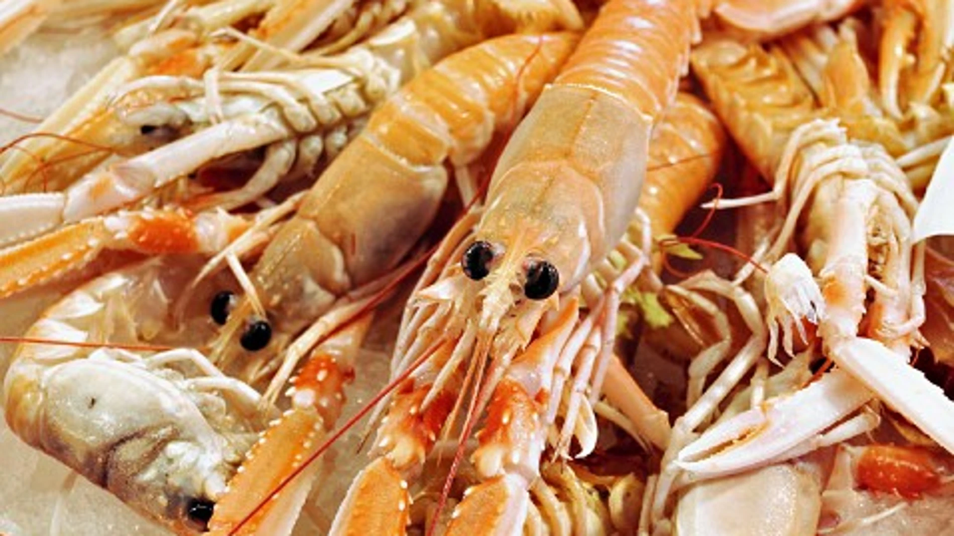 10 consejos para preparar marisco en Navidad