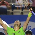 David Ferrer celebra la victoria
