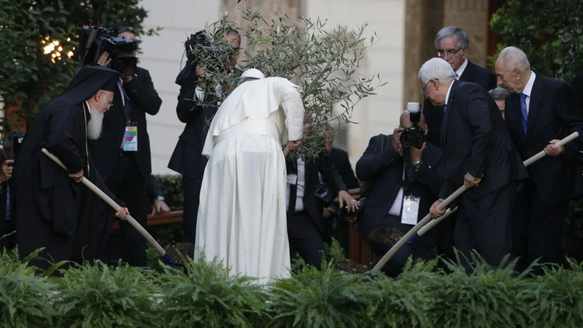 El Papa, Peres y Abás han plantado un olivo en los jardines del Vaticano