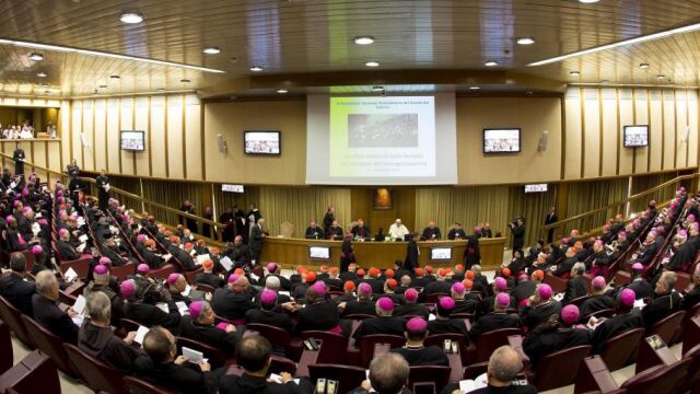 La ONG Fundación Madrina, clave en el Sínodo de la familia