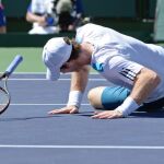 Andy Murray (GBR) cae durante el encuentro ante Milos Raonic