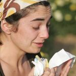 Los síntomas más frecuentes que se presentan en lo alérgicos son estornudos intensos y mucosidad acuosa
