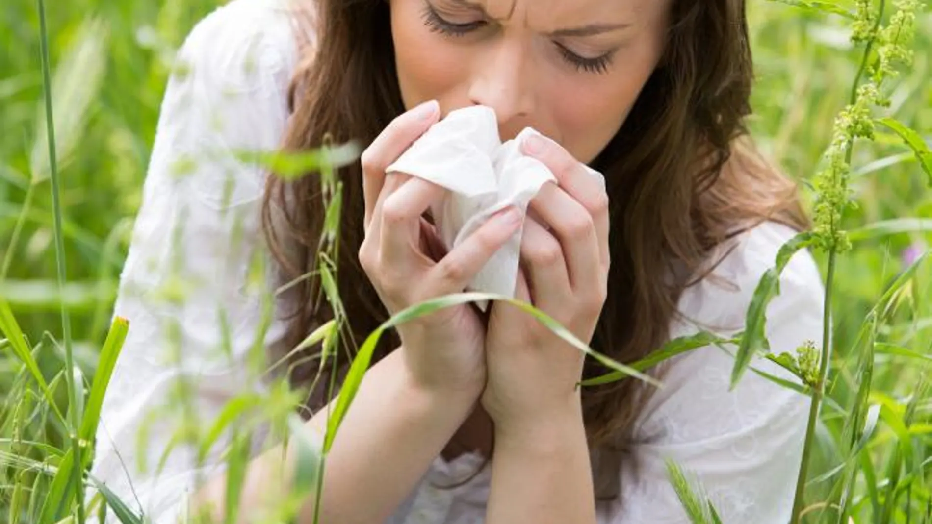 Estar en contacto con las plantas agudiza los síntomas de la alergia