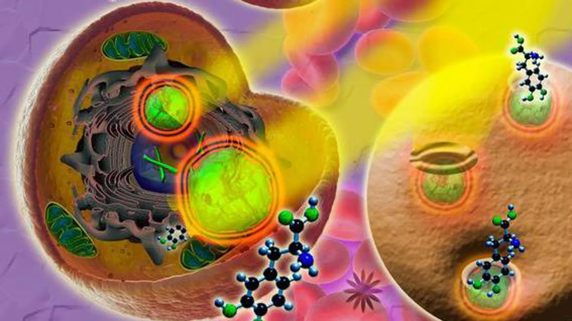 Nanopartículas responden liberando fármacos al ser irradiadas con luz láser en el infrarrojo cercano