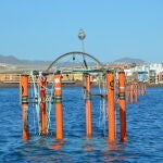 Mesocosmos instalados en aguas de Taliarte (Gran Canaria) cerca de las instalaciones de la Plataforma Oceánica de Canarias (PLOCAN)