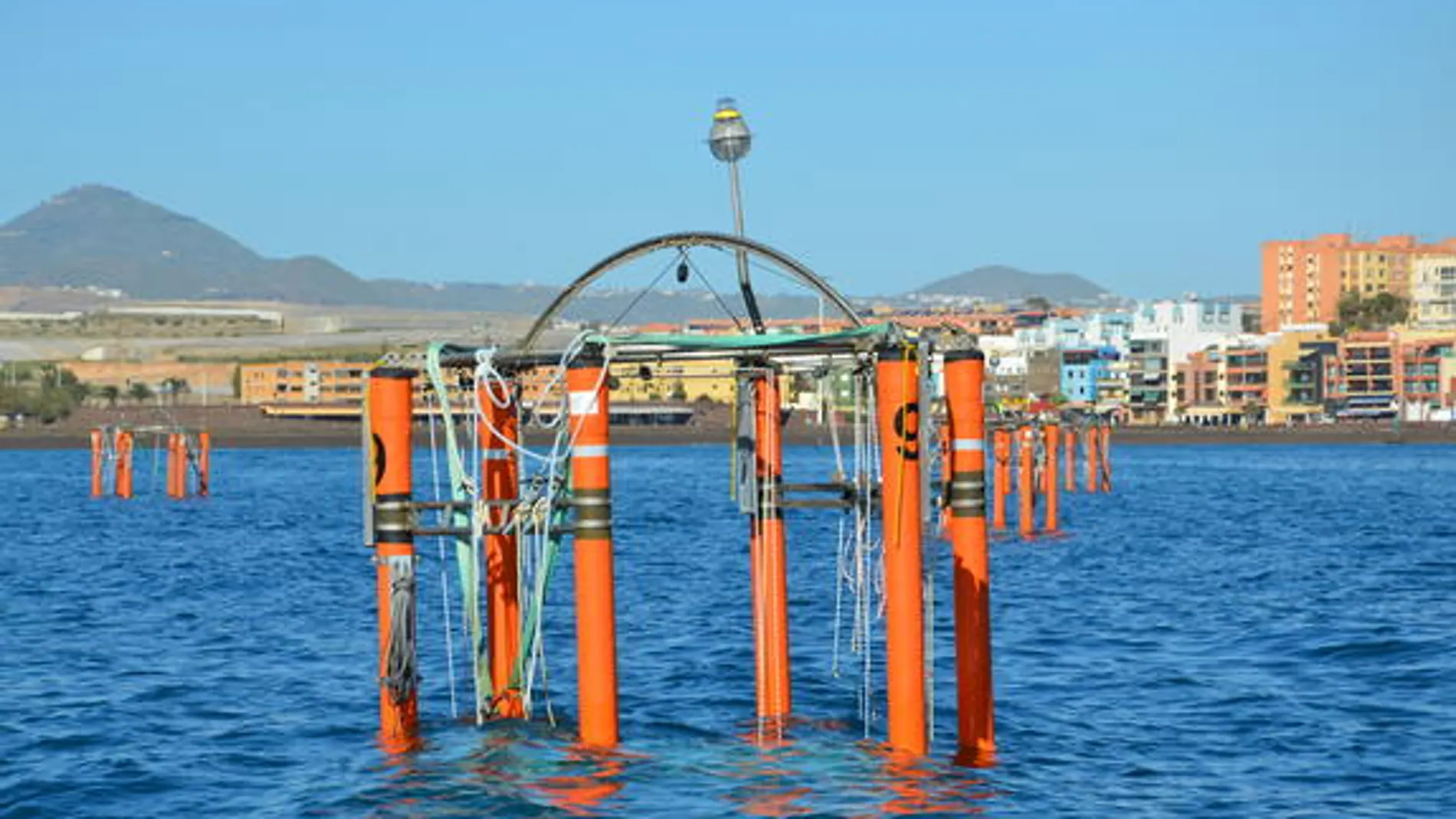 Mesocosmos instalados en aguas de Taliarte (Gran Canaria) cerca de las instalaciones de la Plataforma Oceánica de Canarias (PLOCAN)