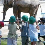 El zoo de Madrid organiza campamentos para niños de 4 a 14 años