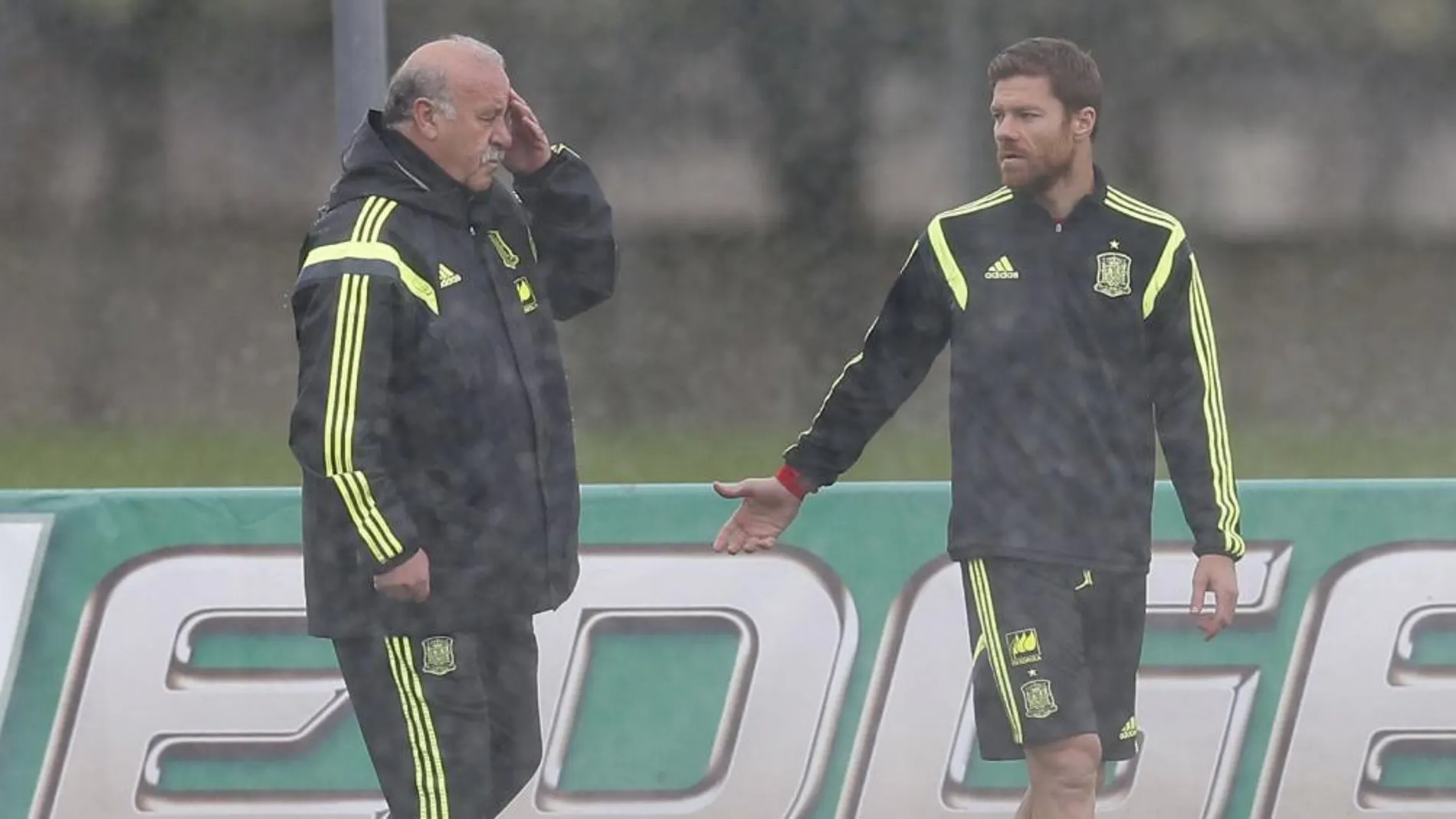 Vicente del Bosque conversa con Xabi Alonso durante el entrenamiento de la selección