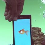 Las apps acuáticas llegan a Sony