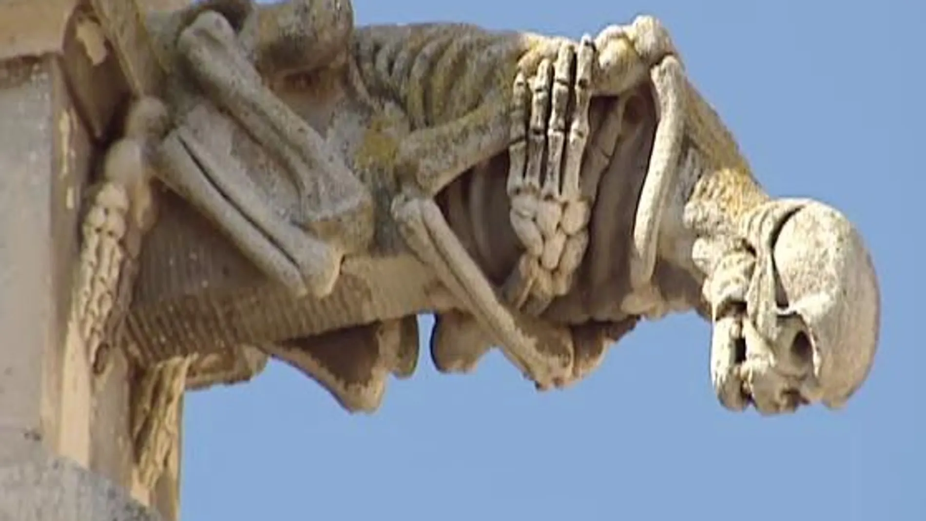 Gárgola de la Catedral de Palencia