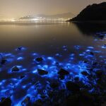 Una espectacular imagen de una costa brillante azul con las luces nocturnas de Hong Kong a la distancia