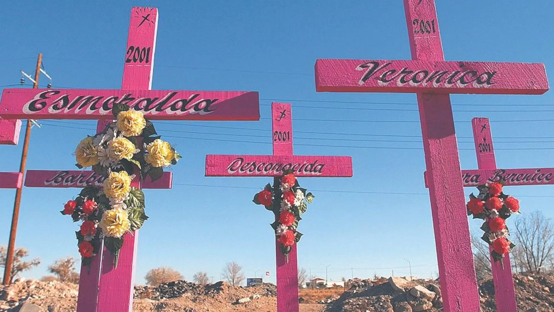 Ciudad Juárez, también en el Estado de Chihuahua, ha sido durante años el escenario de múltiples asesinatos de mujeres