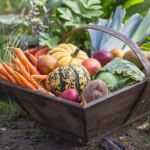 5 alimentos que saben mejor ahora que el resto del año