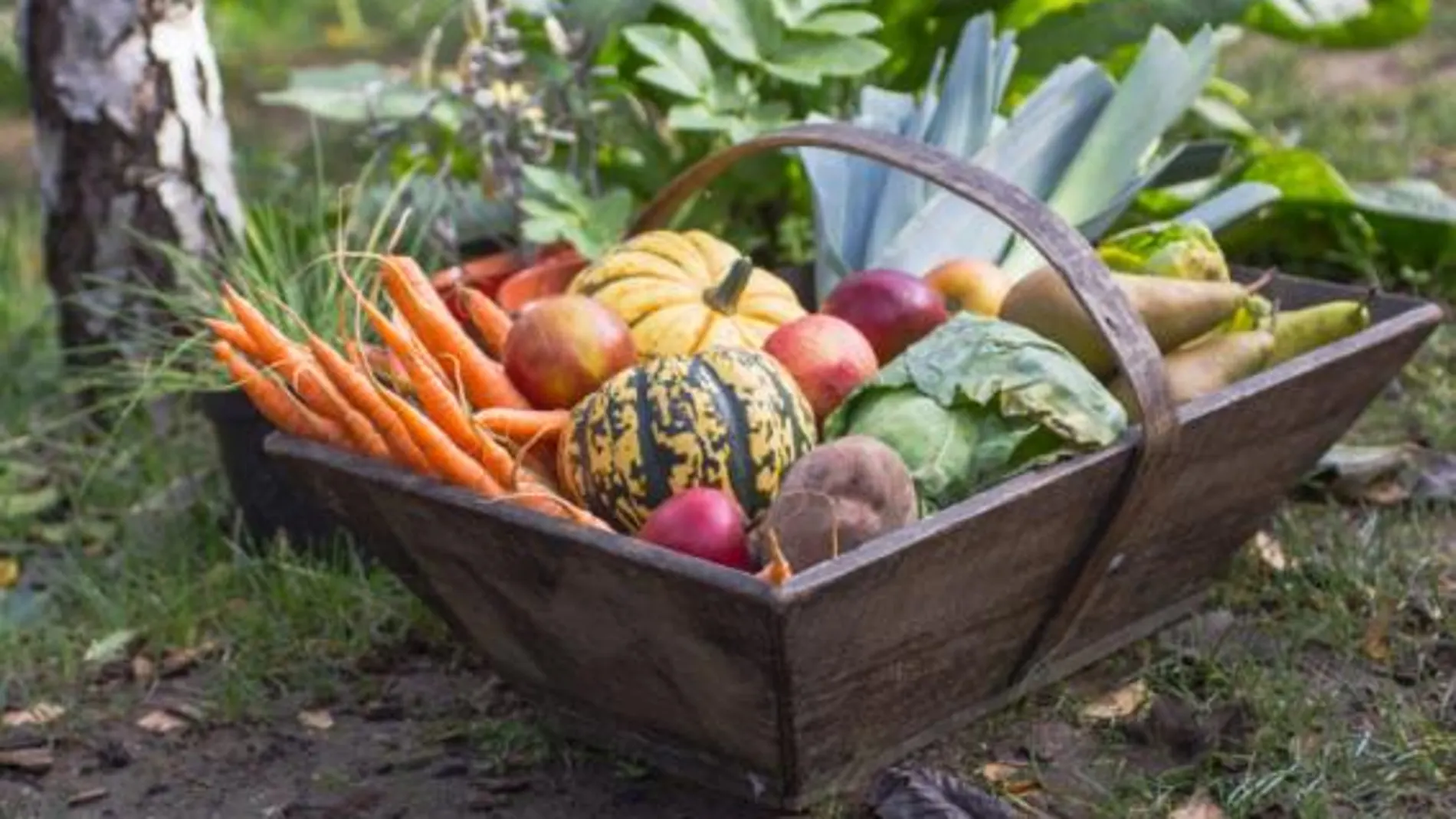 5 alimentos que saben mejor ahora que el resto del año