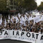 Cabeza de la manifestación celebrada en Madrid
