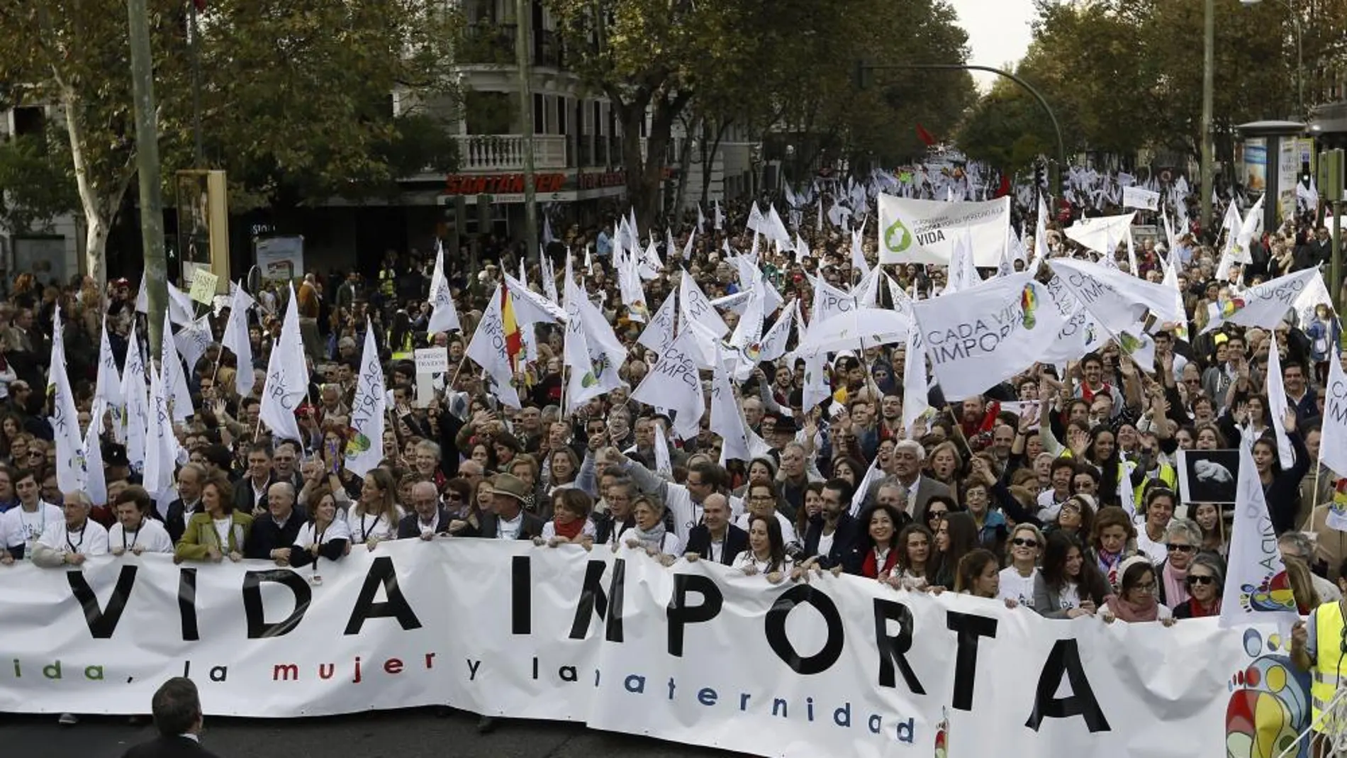 Cabeza de la manifestación celebrada en Madrid