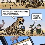 ¿Cómo sería «Instagram» en el mundo animal?