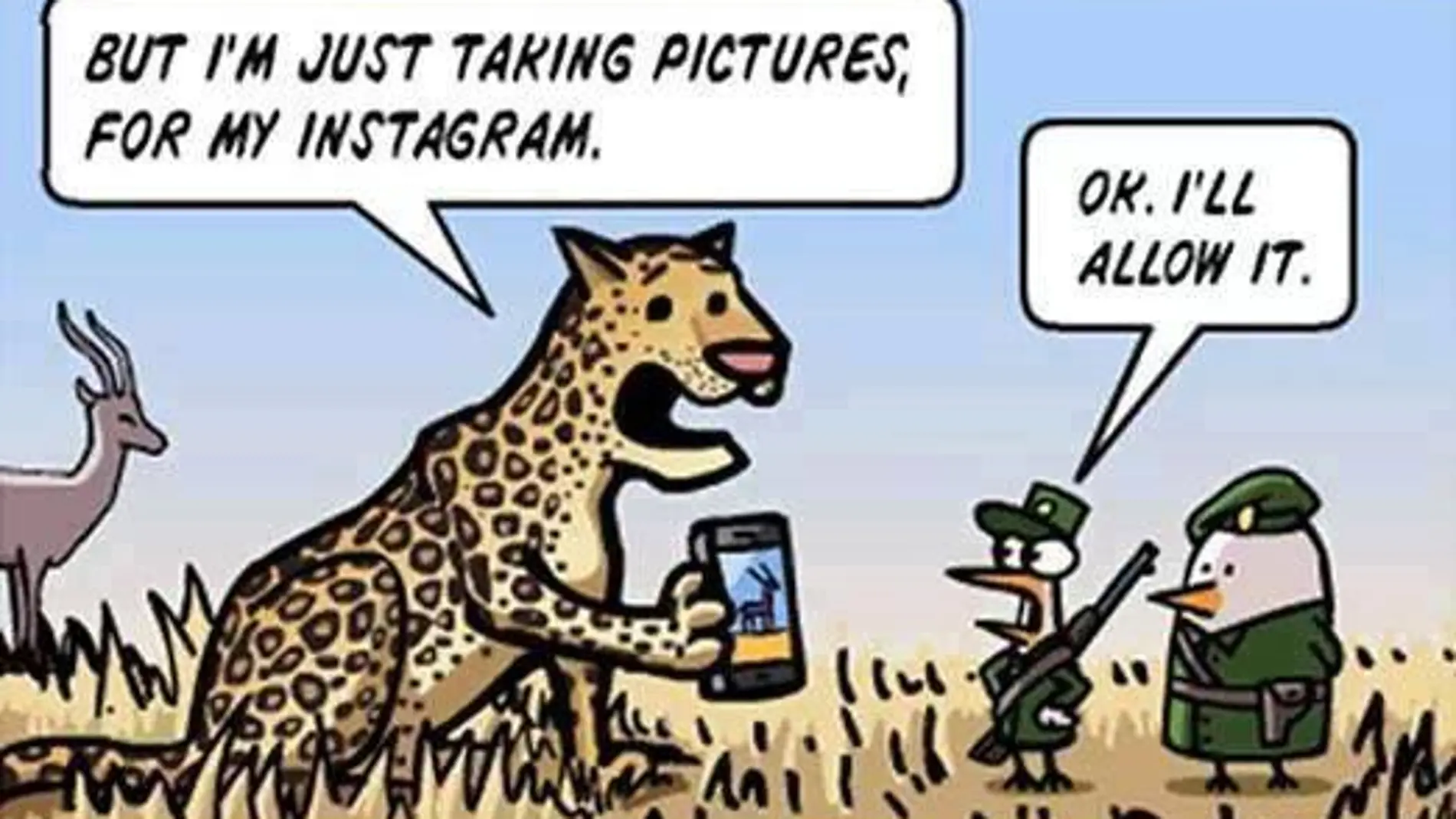 ¿Cómo sería «Instagram» en el mundo animal?