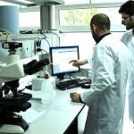 David Horna, segundo a la derecha, en el laboratorio de Aglaris Cell del Parque Científico de Madrid