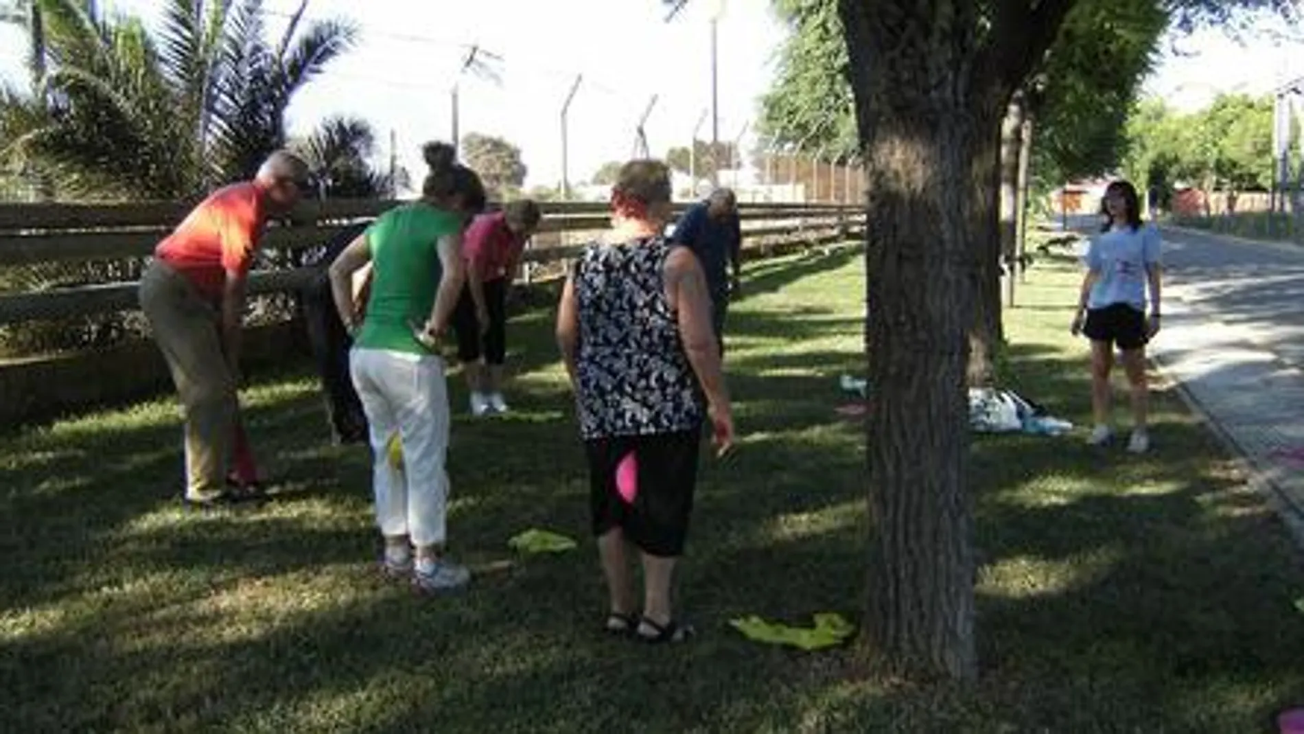 Personas mayores realizan ejercicio físico