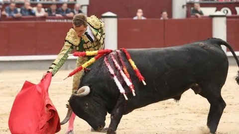Bautista matará seis toros de otros tantos encastes en su encerrona de Arles