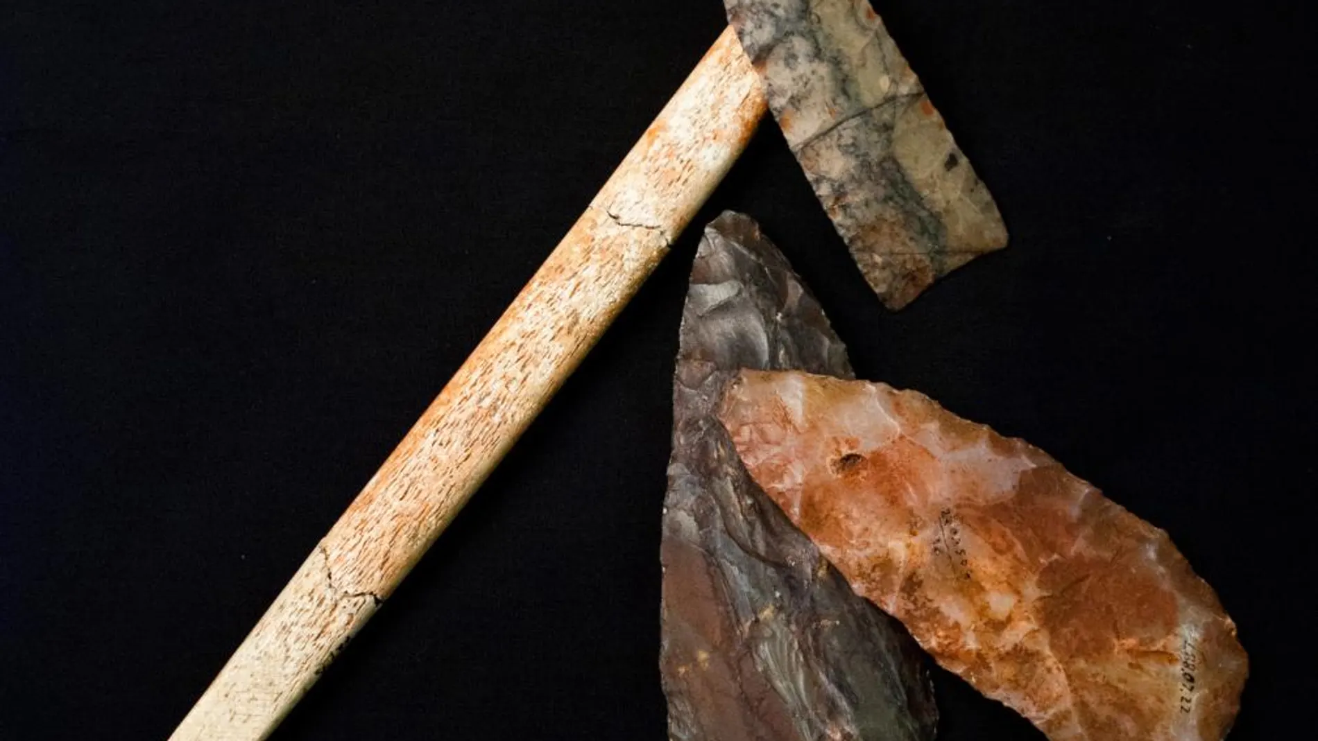 Utensilios encontrados en la tumba de la cultura Clovis, en Estados Unidos