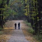 Los árboles generan sombra, reduce la velocidad del viento y modifica el clima