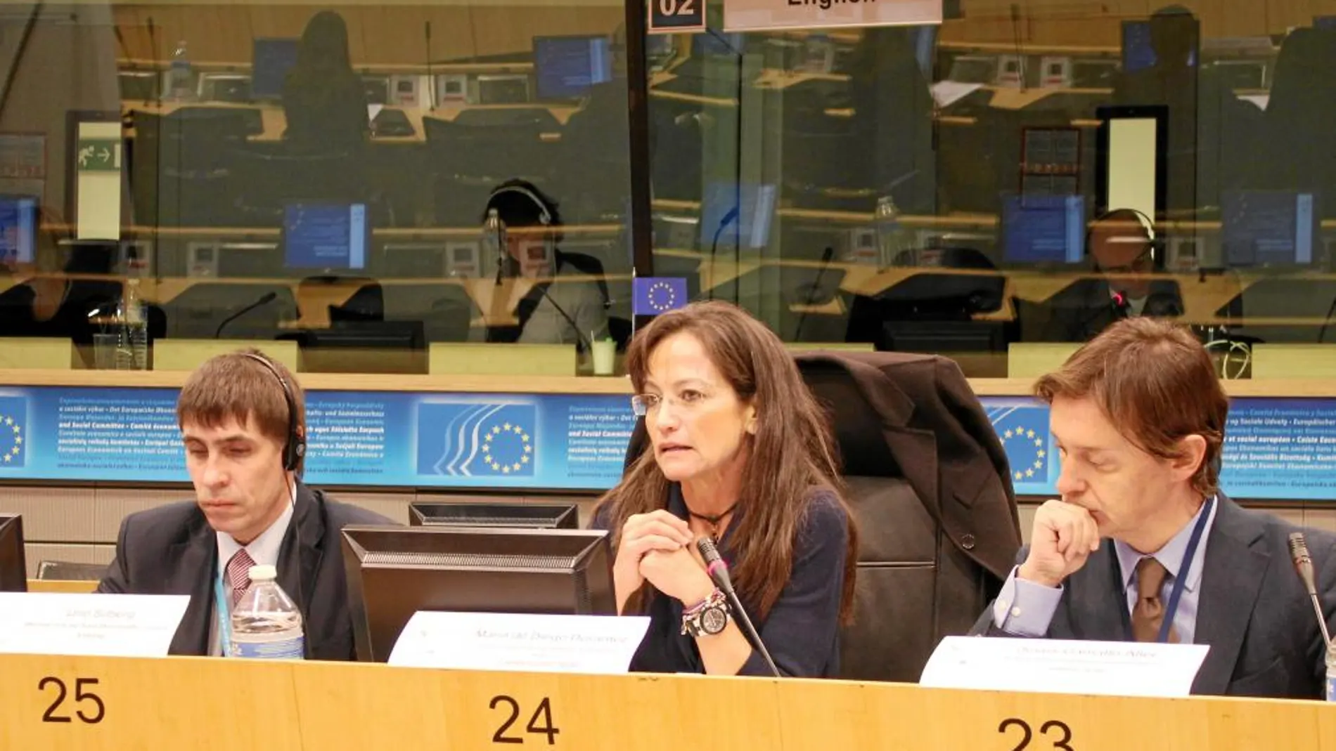 La directora general María de Diego, defiende la posición de Castilla y León en la última reunión del Intergrupo por el Futuro de la Industria del Automóvil