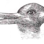 Ilusión pato-conejo