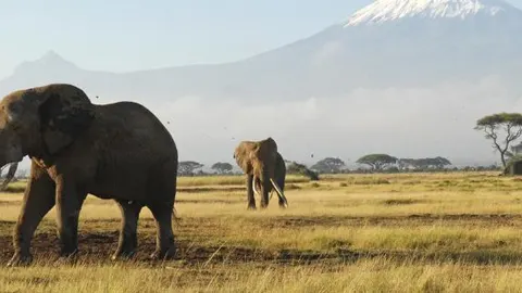 Kenia ha lanzado una gran campaña para captar a un millón de turistas chinos con el apoyo de su gran aliado internacional, el Gobierno de Pekín.