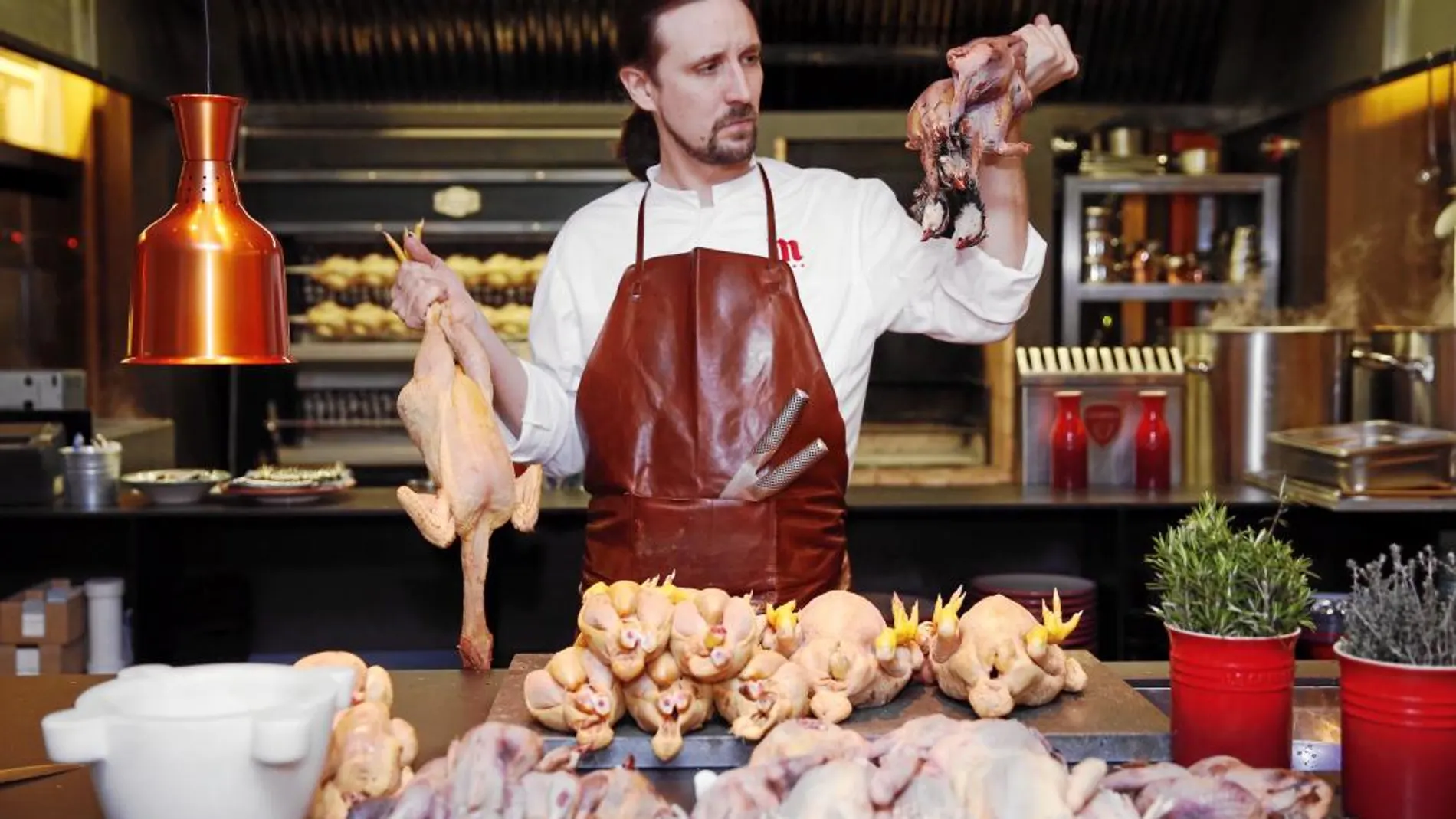 El cocinero Stefan del Río, rodeado de coquelets, y demás aves, delante de la mesa de trabajo del restaurante Aire, de reciente inauguración.