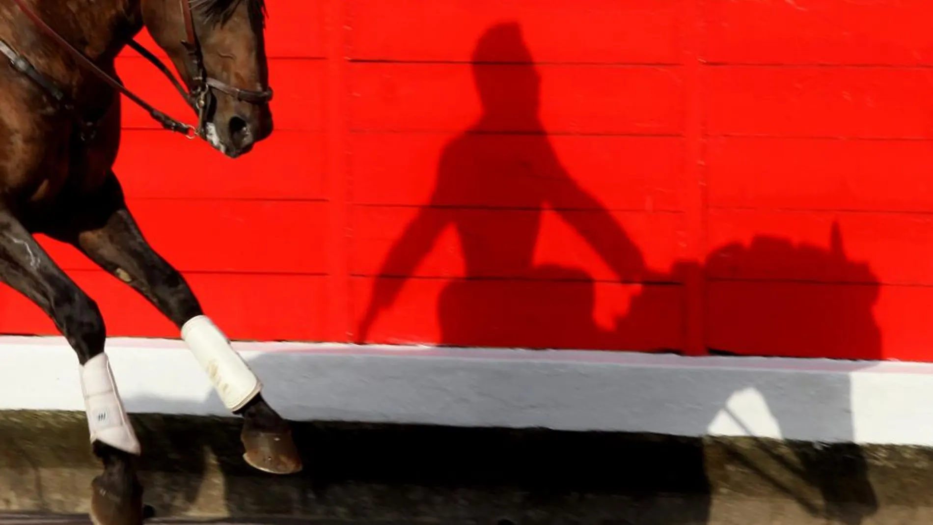 Recortadores, tentadero público y exhibición a caballo para presentar San Mateo