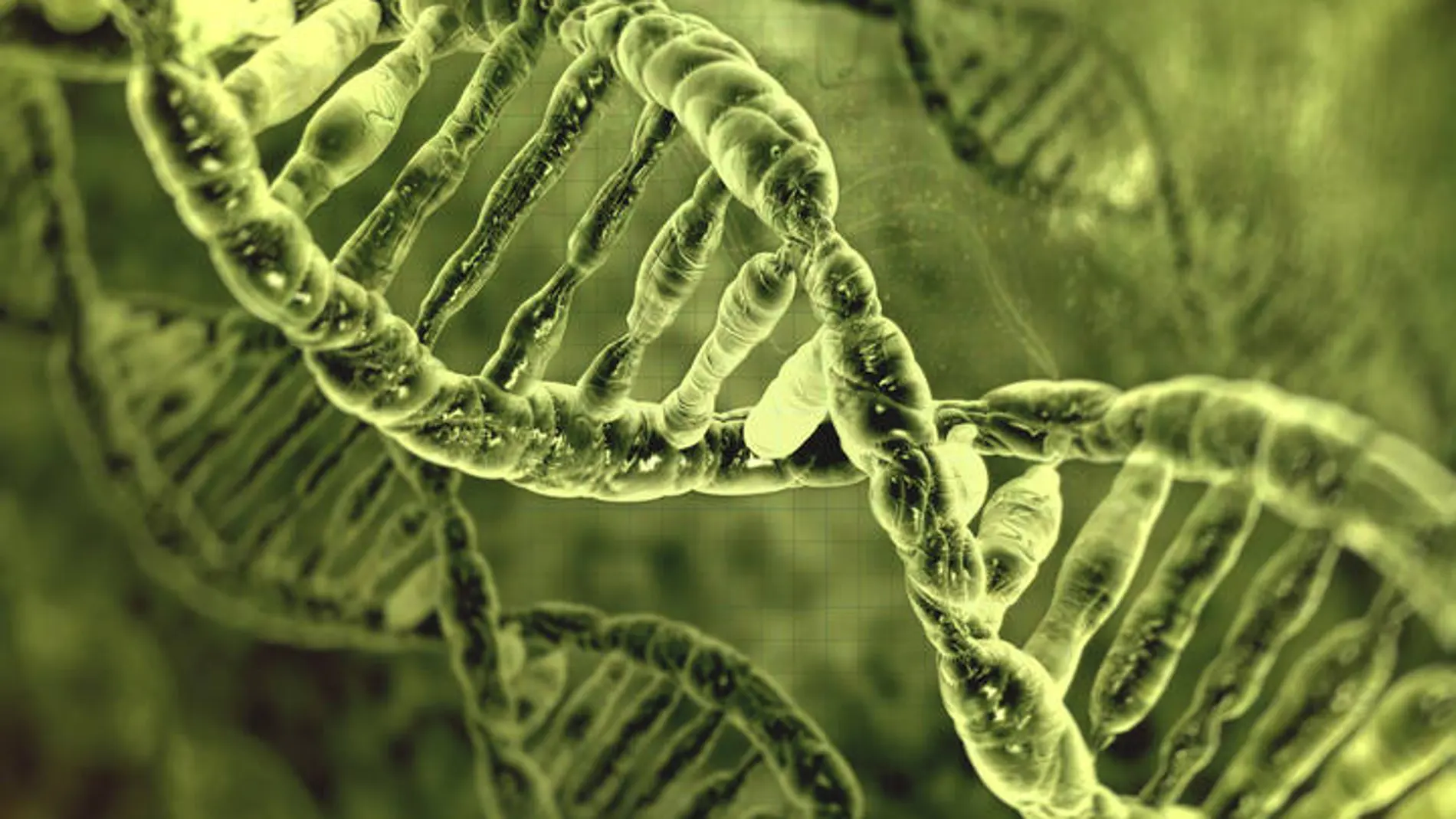 Imagen de una estructura de ADN