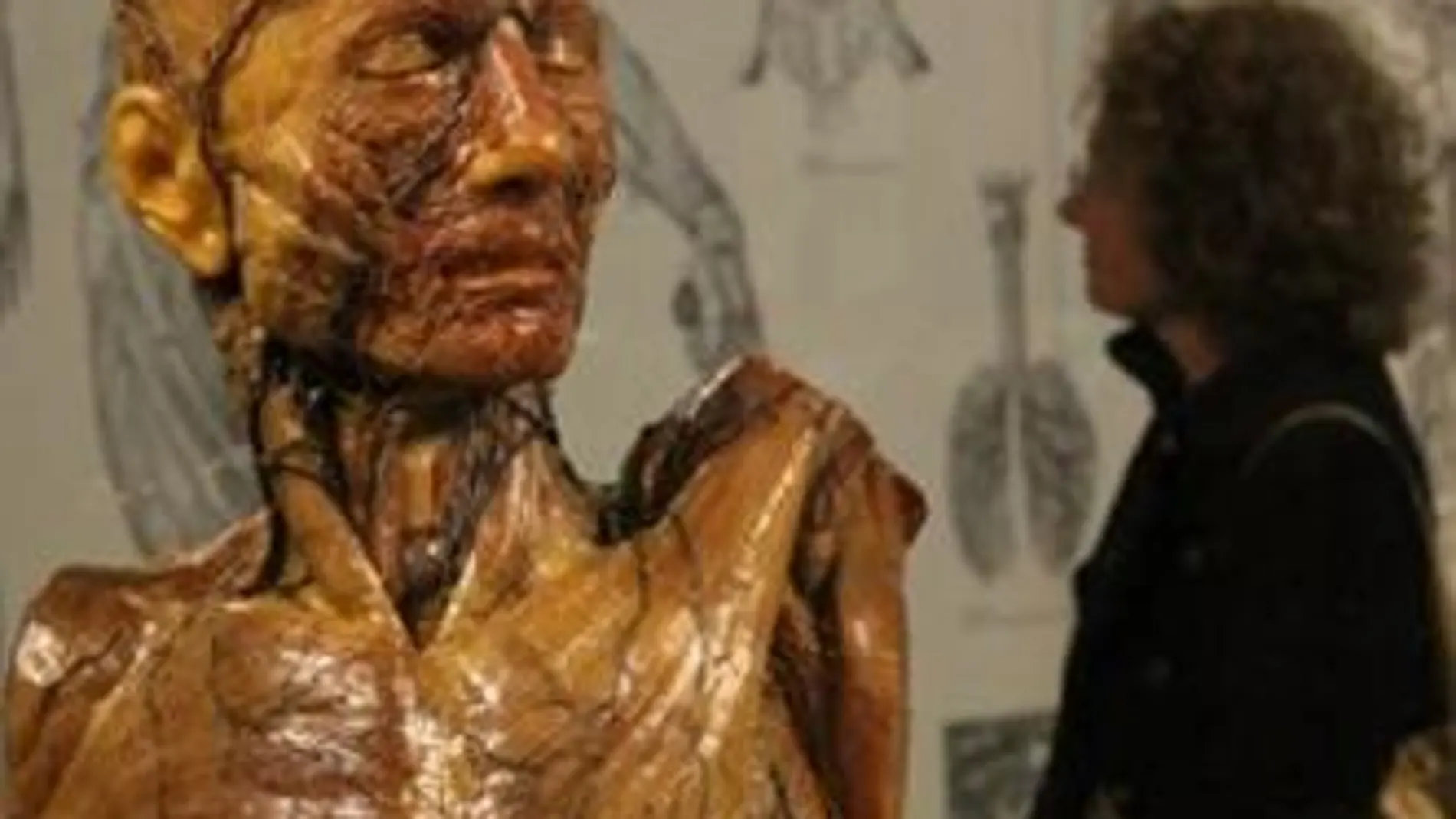 El Museo de la Evolución Humana acoge la exposición temporal `Cuerpos en cera. El arte de la anatomía'