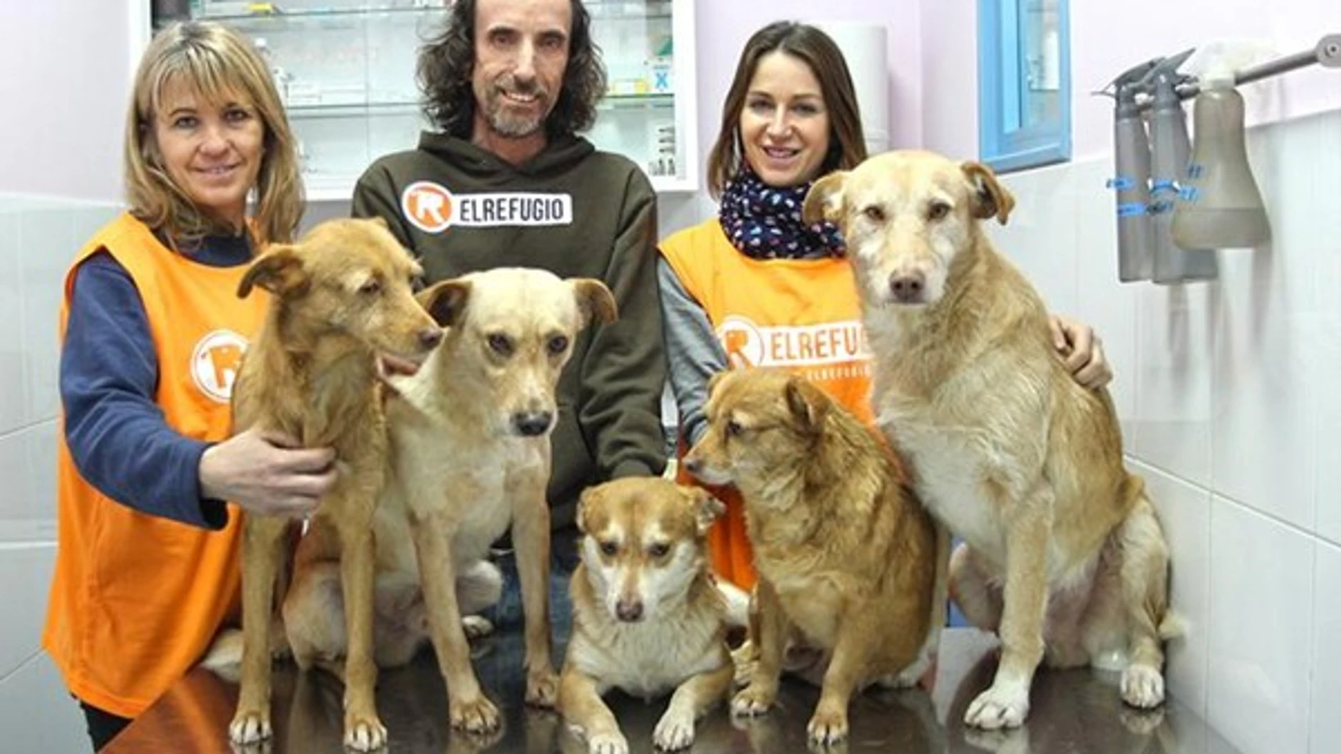 El Refugio rescata a doce perros acogidos por un hombre con Síndrome de Noé