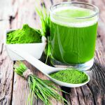 Spirulina, el alga que triplica en proteínas al pollo