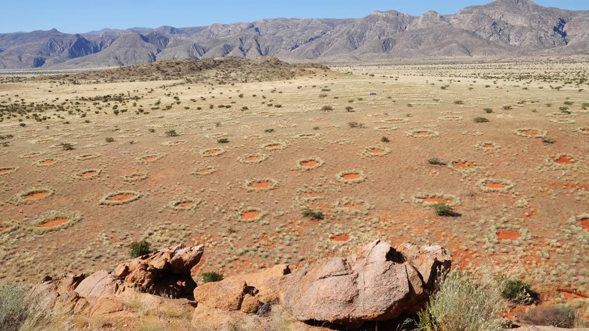 Vista aérea de los anillos de hadas de Namibia. Imagen: Stephan Getzin/UFZ