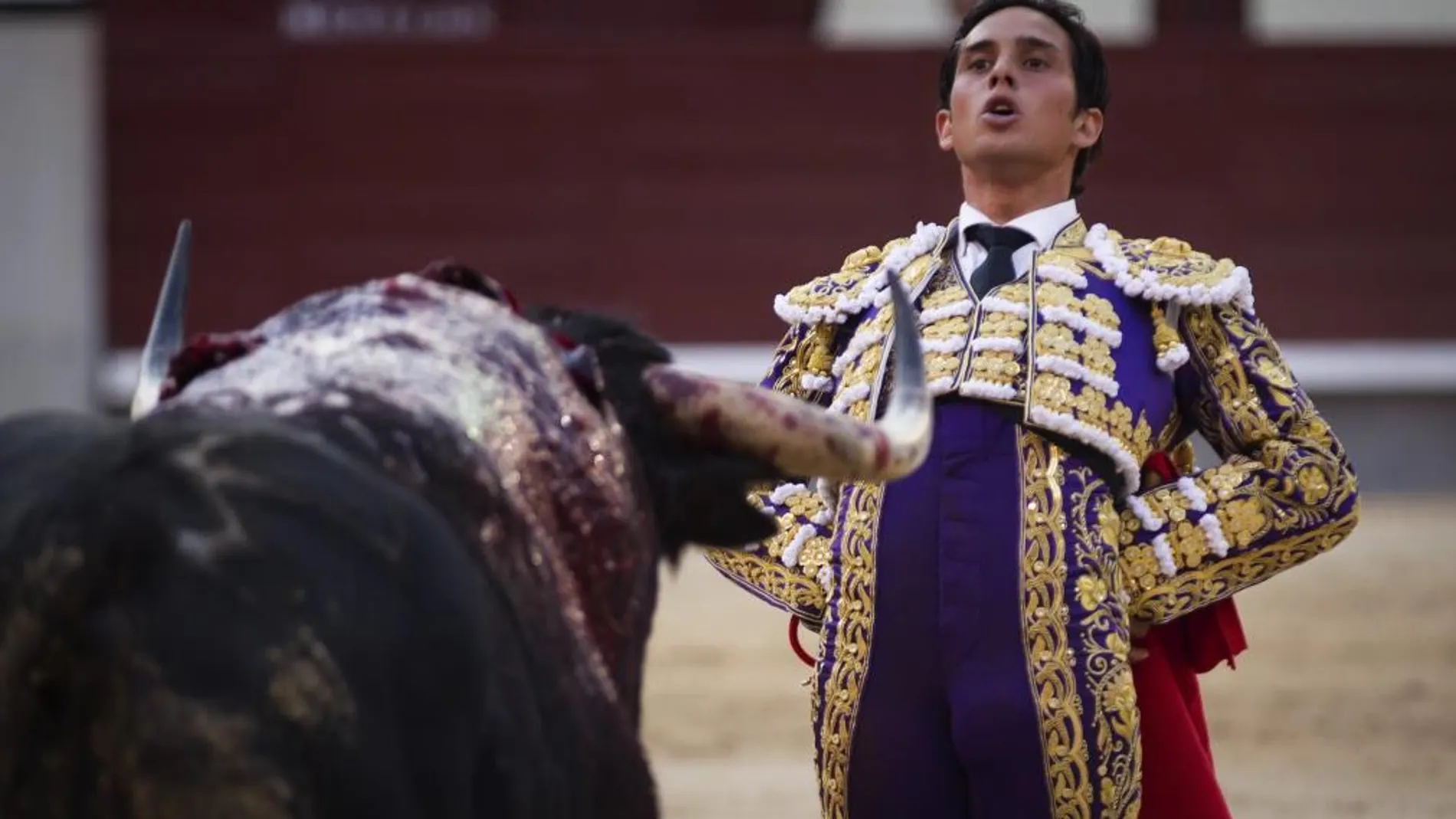 Desplante de Alberto Aguilar al toro que logró cortar una oreja el pasado domingo en Madrid