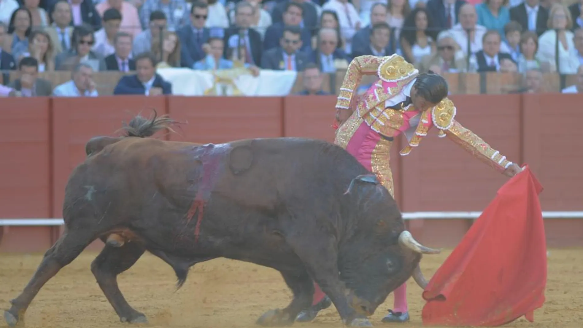 David Mora torea al natural a un excelente toro de El Pilar, lidiado en tercer lugar, ayer, en La Real Maestranza