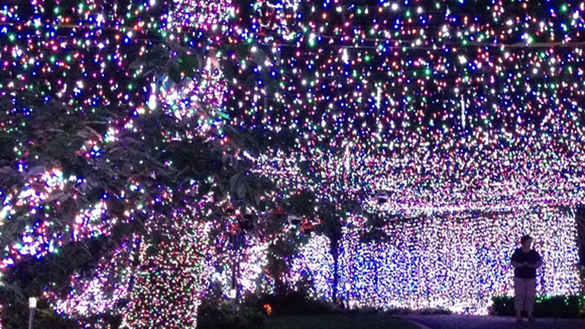 Imagen de la vivienda, con todas las luces encendidas