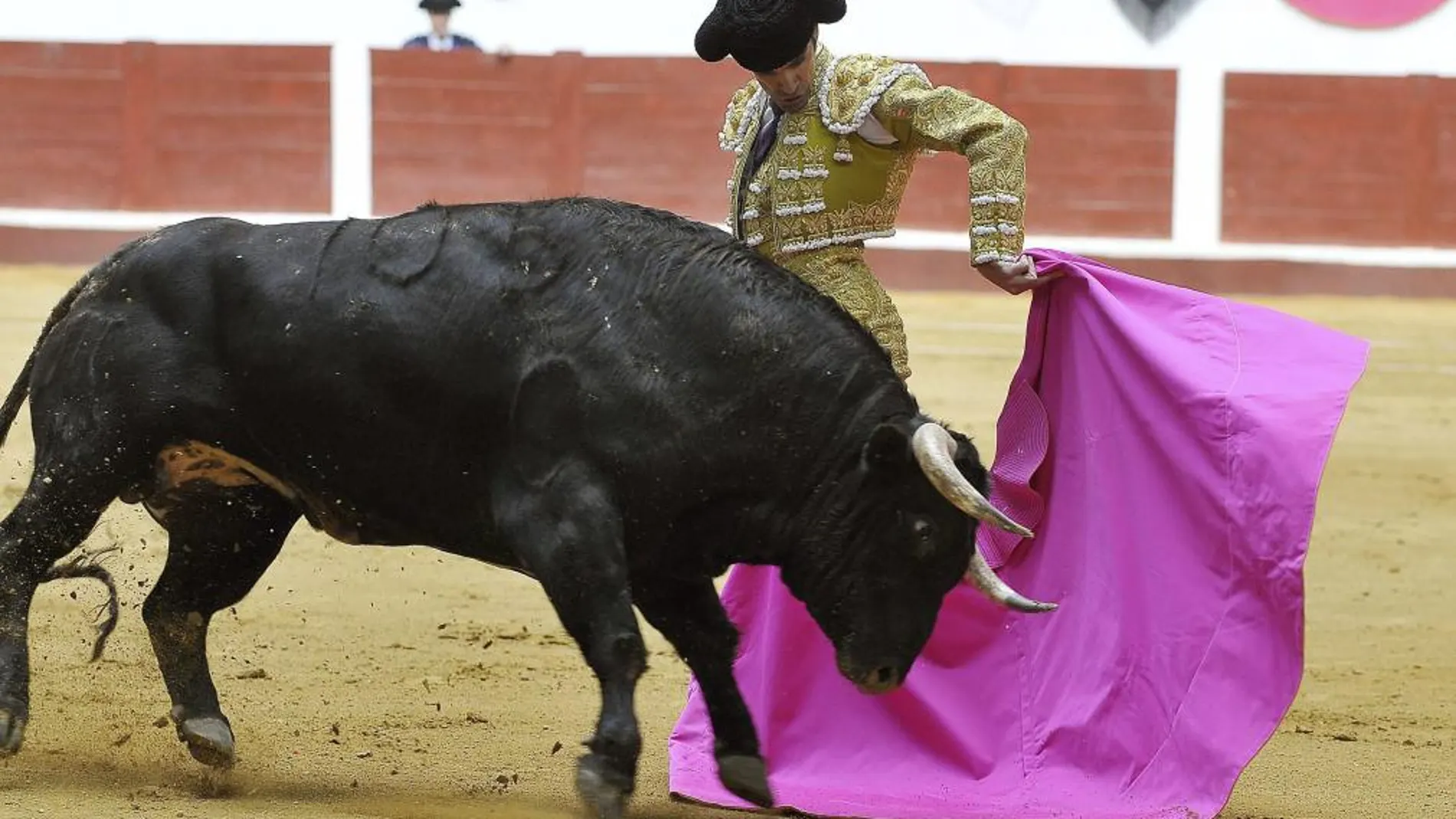 José Tomás dibuja una media verónica a uno de los toros de El Pilar, ayer, en el León Arena