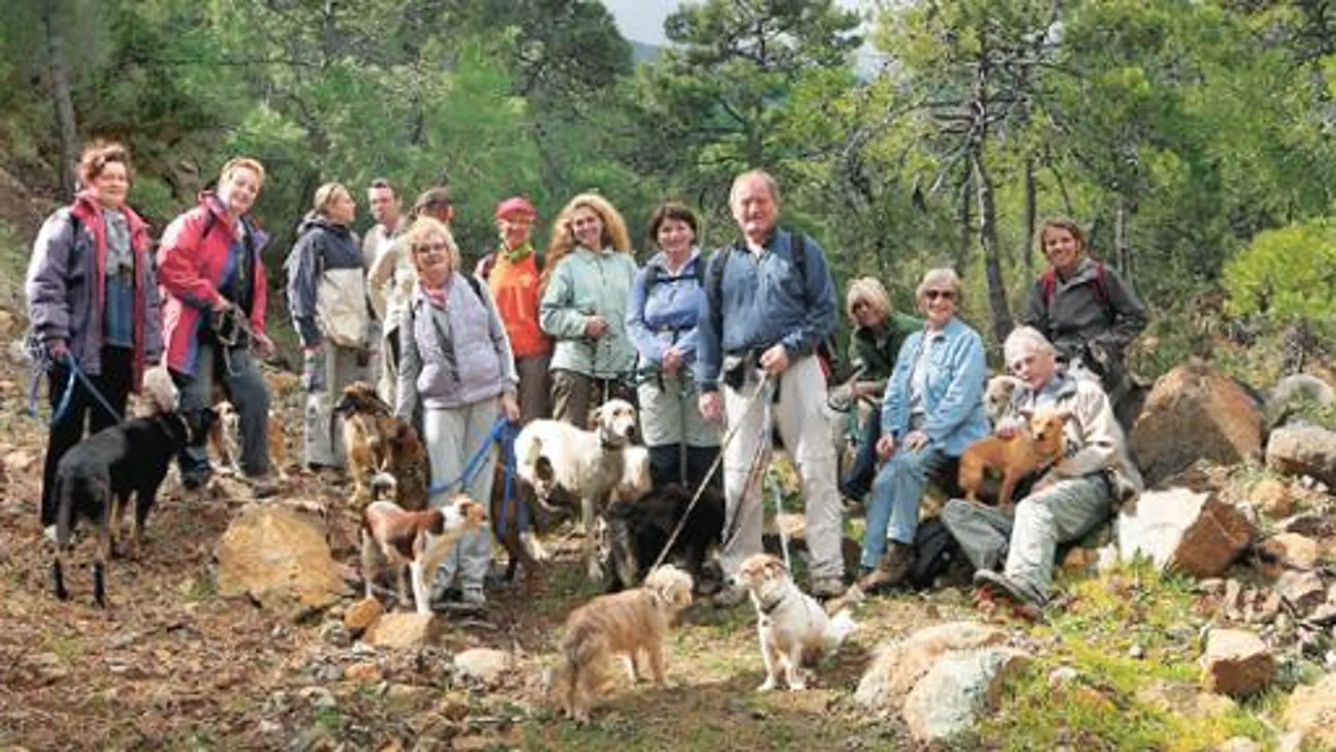 Los primeros valientes, y los perros del refugio de Adana parten mañana desde Estepona en este peregrinaje canino