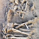 Dos esqueletos del Neolítico encontrados en Mantua (Italia)